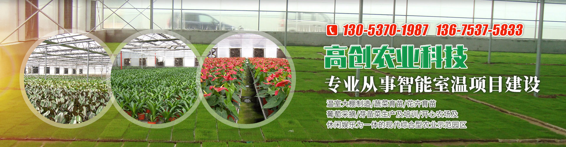 <strong>濟(jì)寧藝水芳源生態(tài)水族設(shè)備有限公司</strong>