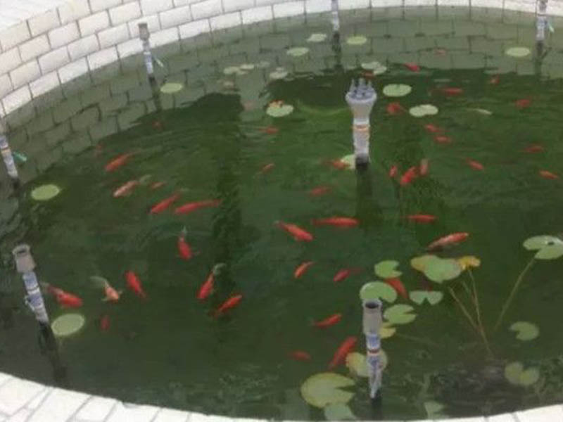 日照魚池水處理水凈化水循環(huán)設備