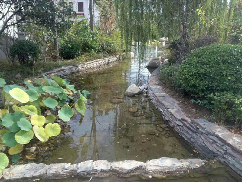 鄭州市黑臭水體問(wèn)題明年全面解決