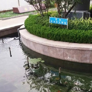 全自動(dòng)過濾消 毒系統(tǒng)