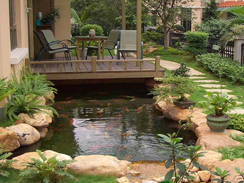 全自動(dòng)魚池凈化設(shè)備