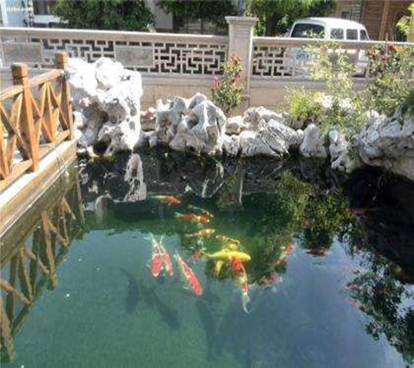 全自動(dòng)魚池凈化系統(tǒng)