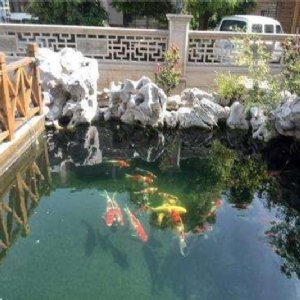 全自動(dòng)魚池凈化系統(tǒng)