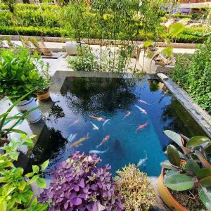 濟(jì)寧藝水芳源魚池過濾器客戶實(shí)地效果展示