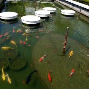 全自動過濾消 毒系統(tǒng)