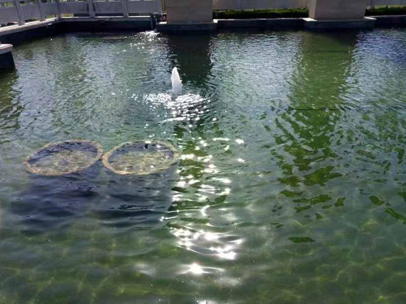 魚池過濾器客戶實地效果展示