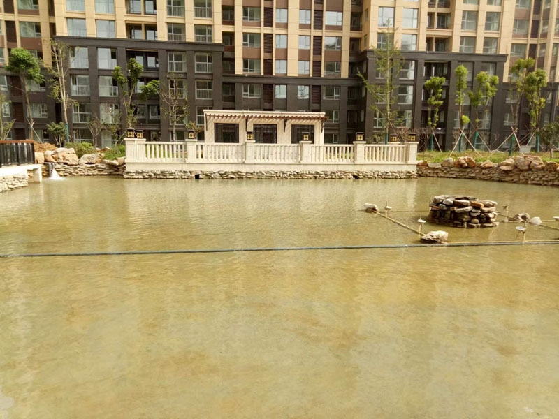 魚(yú)池過(guò)濾器客戶(hù)實(shí)地效果展示