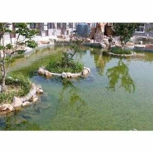 全自動(dòng)循環(huán)水設(shè)備